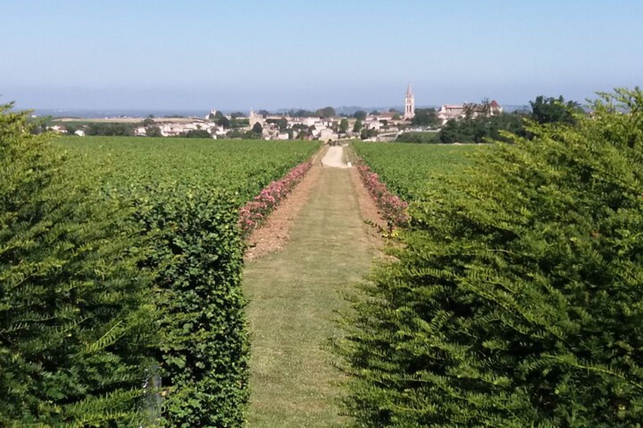 Saint Emilion Wine Tour Degustazione Mezza giornata da Bordeaux — 5