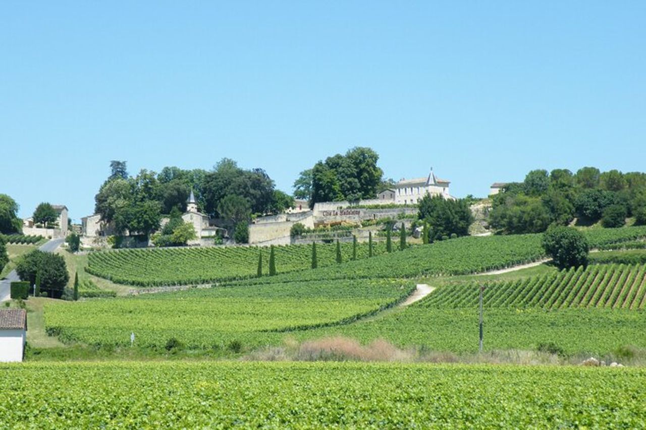 Saint Emilion Wine Tour Degustazione Mezza giornata da Bordeaux — 9