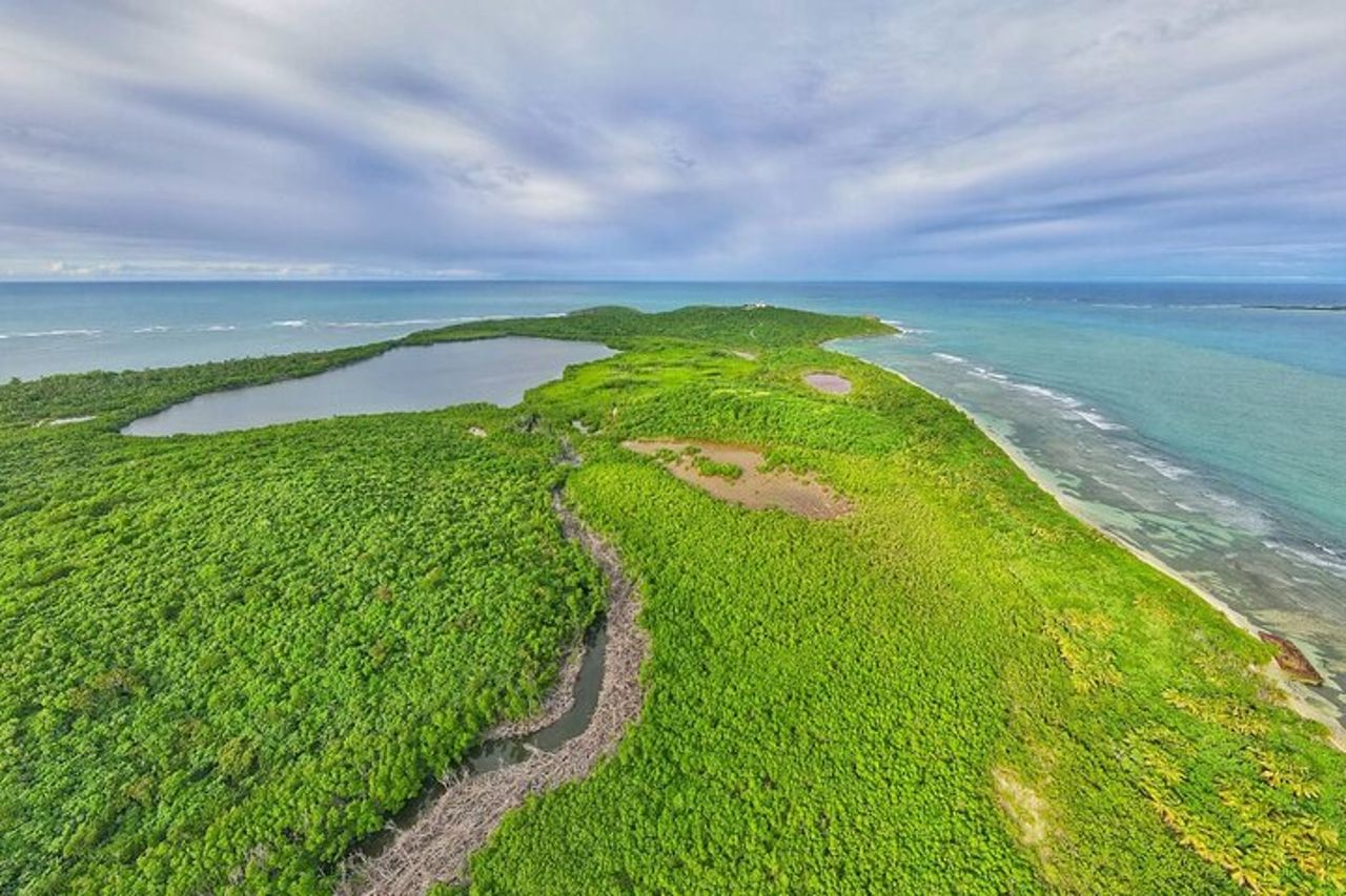 Tour del trio: El Yunque, Luquillo Beach e kayak notturno a Bio Bay — 6