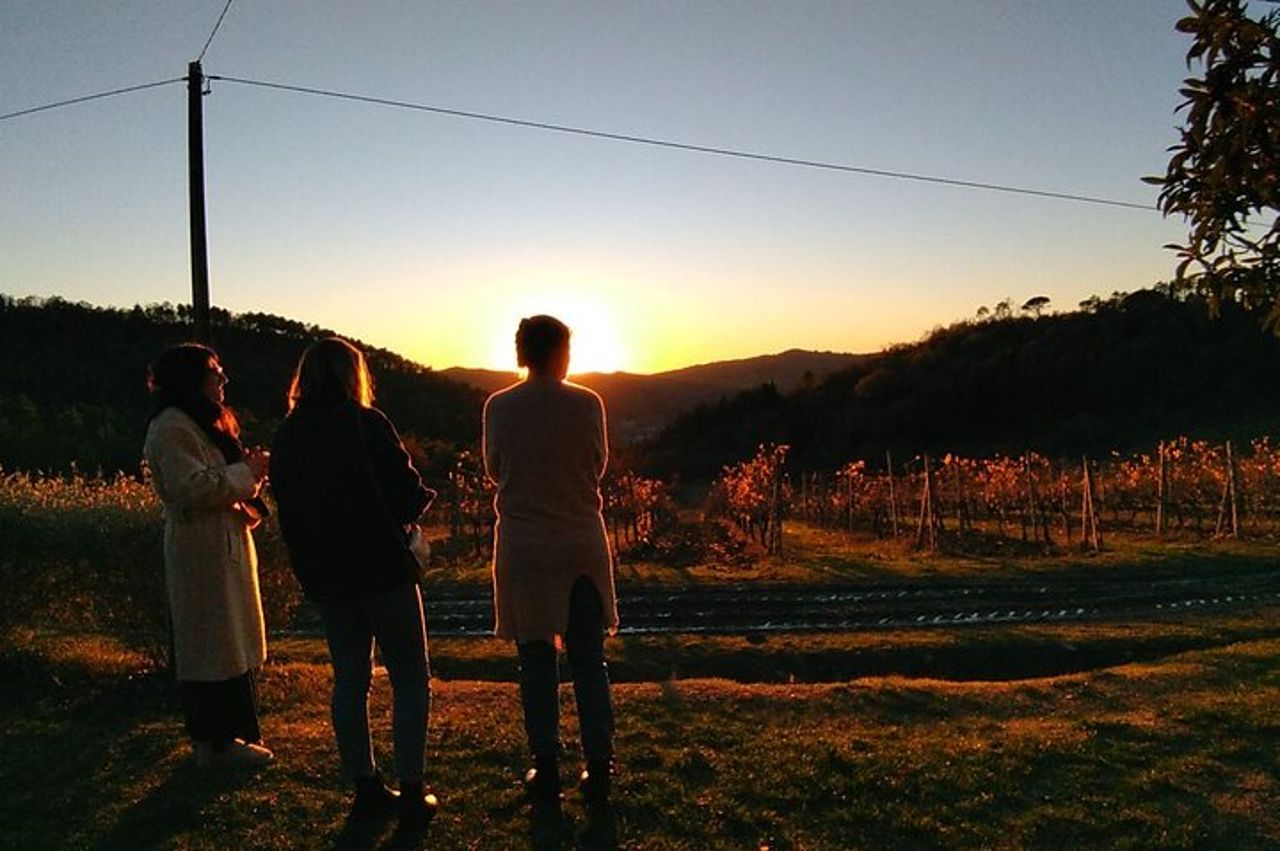 Tour privato - Chianti in minivan al tramonto — 8