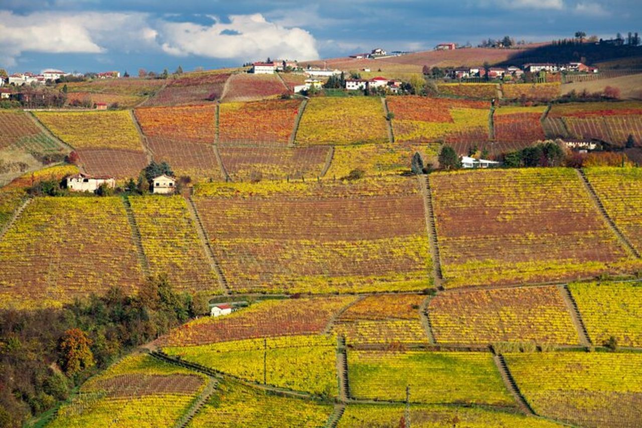 Trekking e wine tour con partenza da Alba — 3