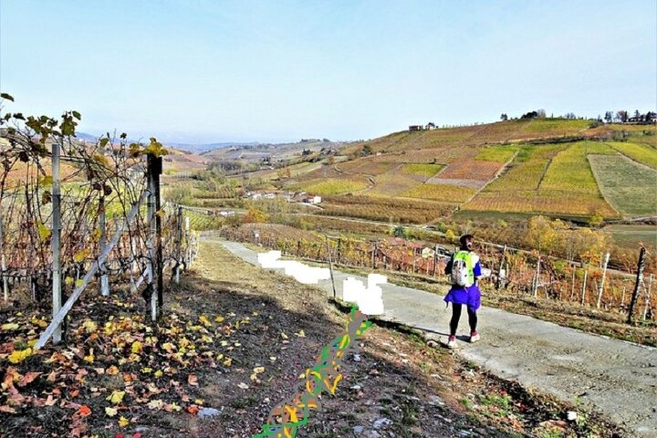 Trekking e wine tour con partenza da Alba — 4