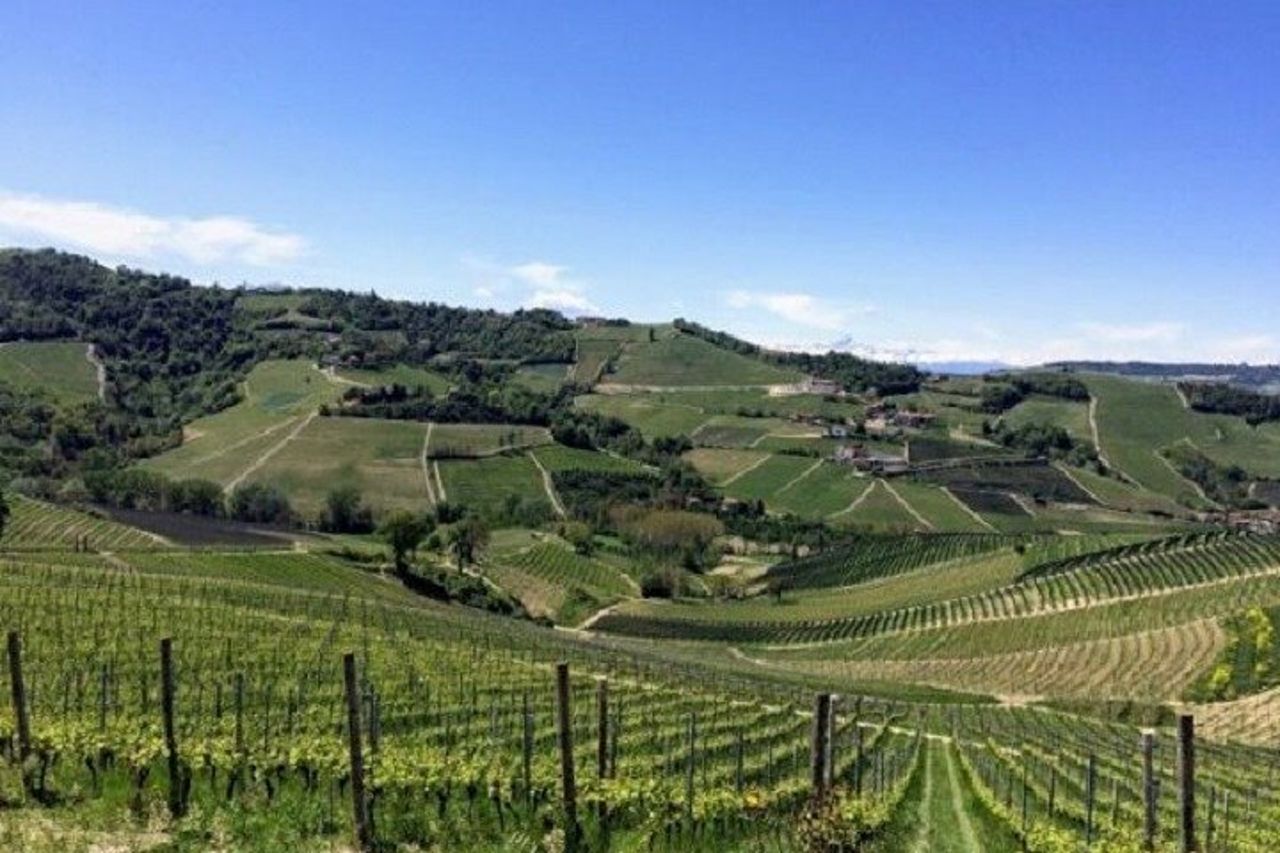 Trekking e wine tour con partenza da Alba — 5
