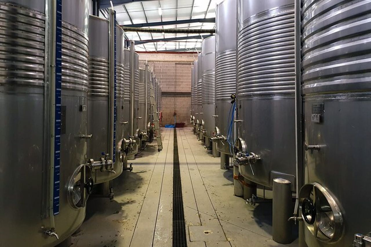 Degustazione di identità | Quinta de Santa Cristina Vinho Verde — 8