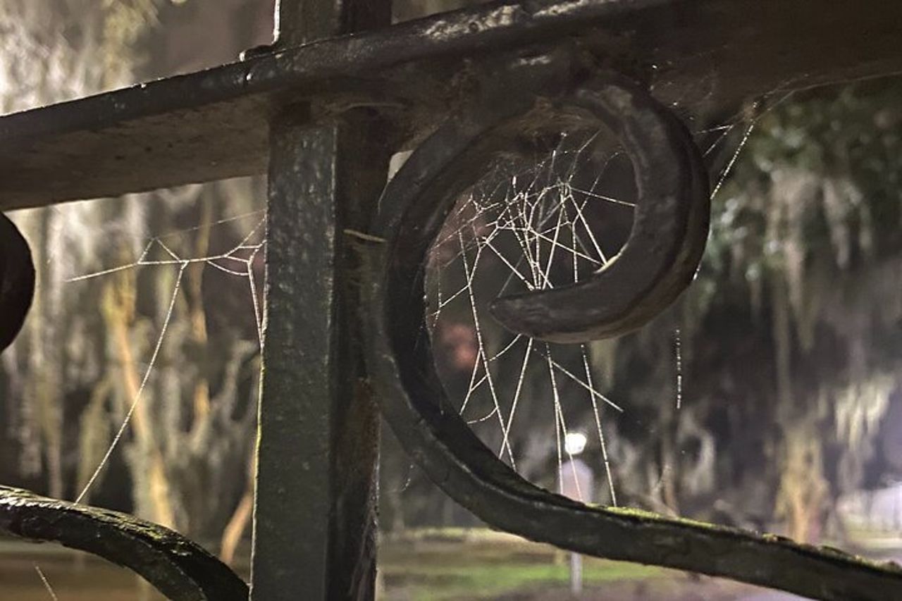 Tour dei fantasmi di Savannah per adulti TUTTE le bevande alcoliche incluse — 8
