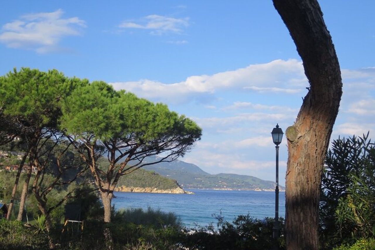 Escursione Guidata Isola d'Elba - Full Day — 6