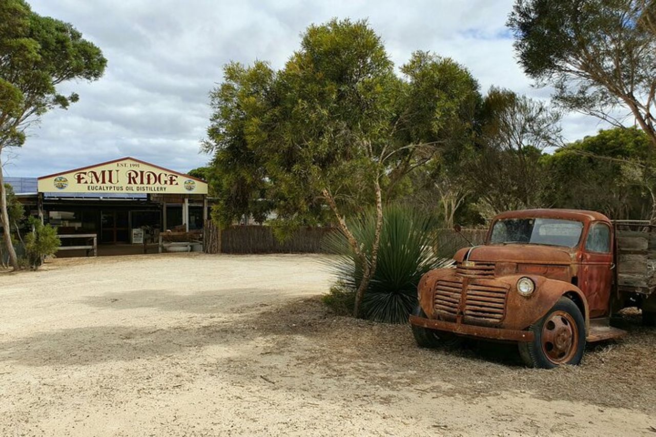 Tour di un giorno Kangaroo Island Sip & See con trasferimenti in traghetto di andata e ritorno da Adelaide — 5