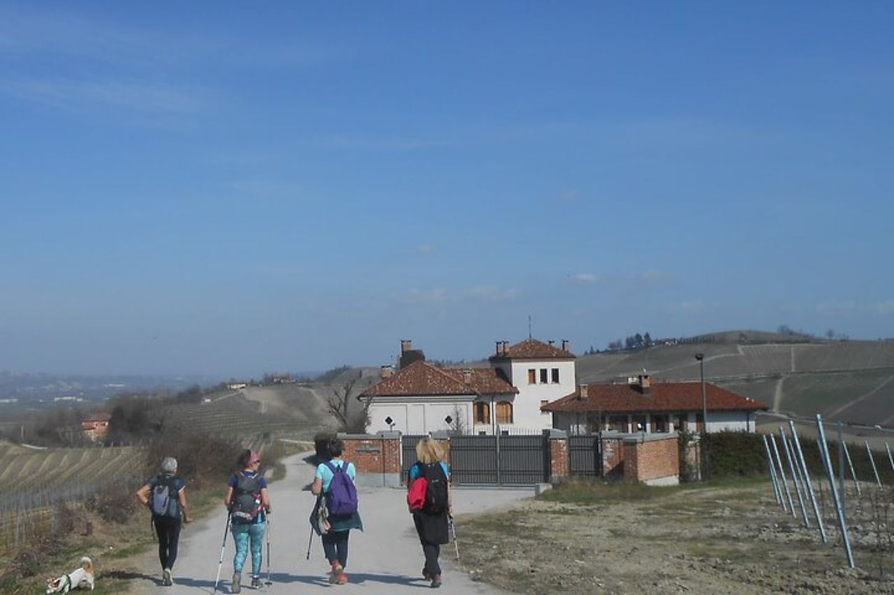 Trekking e wine tour con partenza da Alba — 6