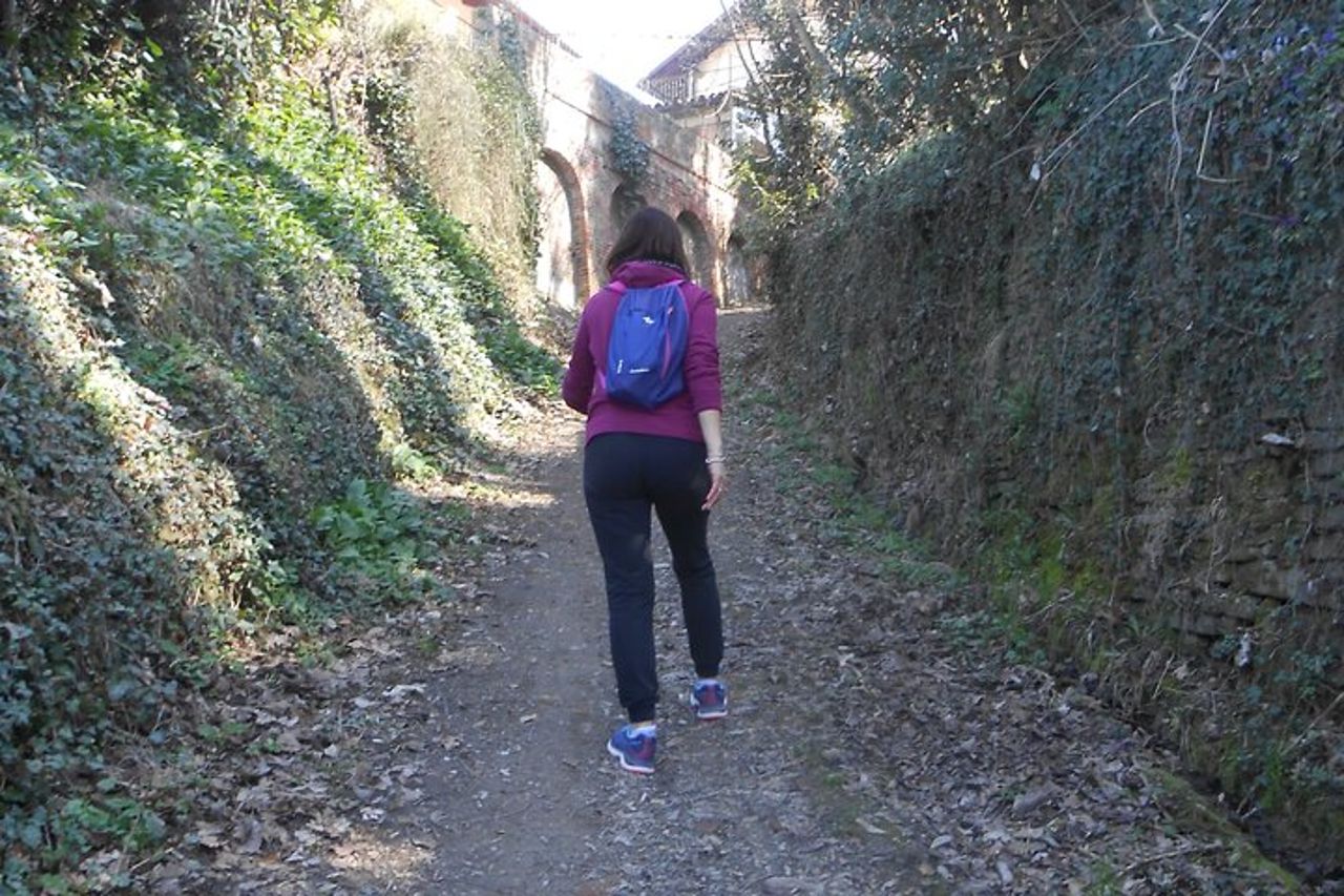 Trekking e wine tour con partenza da Alba — 8