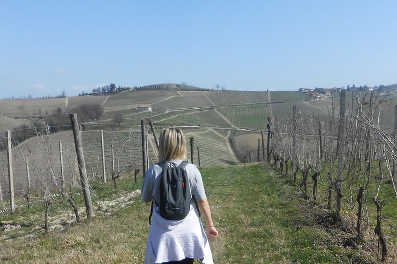 Trekking e wine tour con partenza da Alba — 9