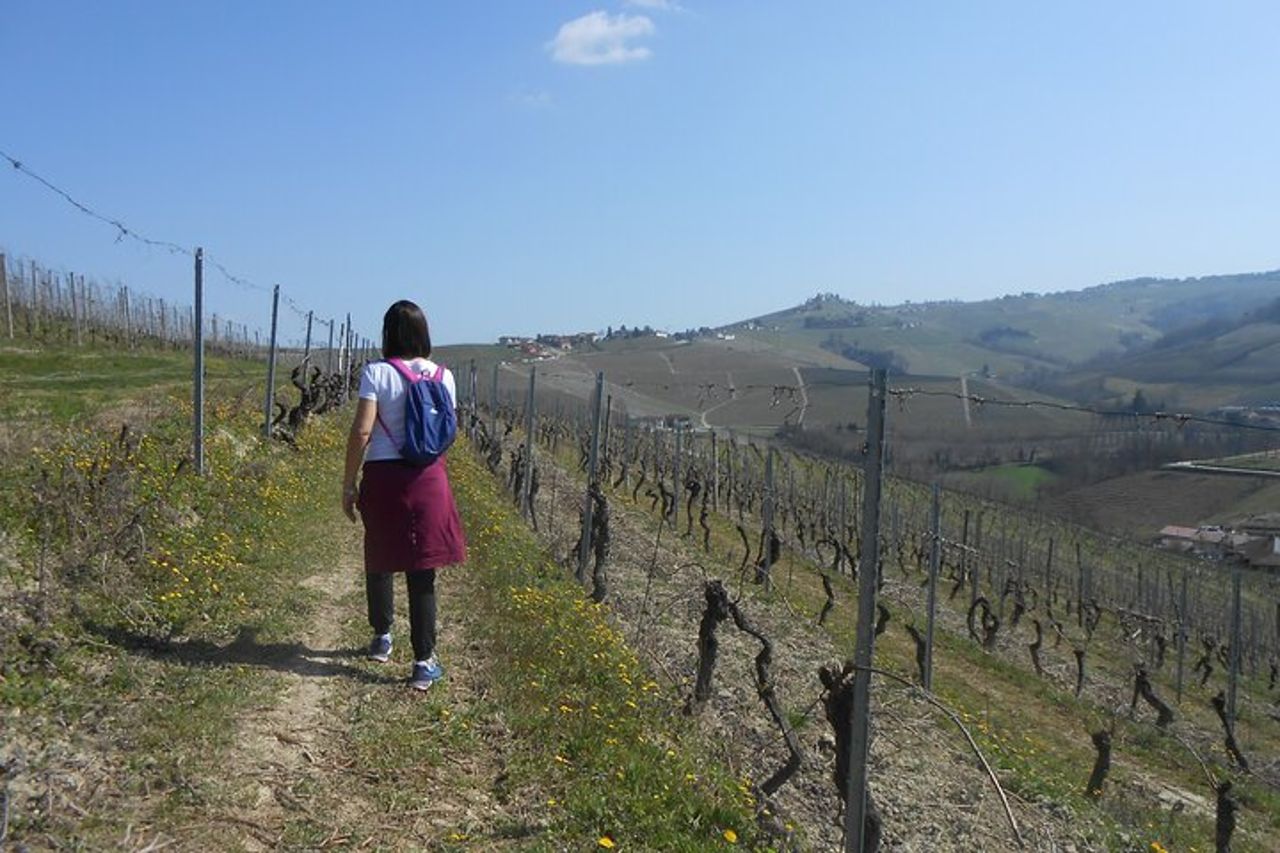 Trekking e wine tour con partenza da Alba