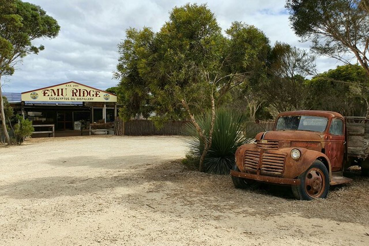 Tour di un'intera giornata a Kangaroo Island Sip and See con partenza da Kangaroo Island — 5