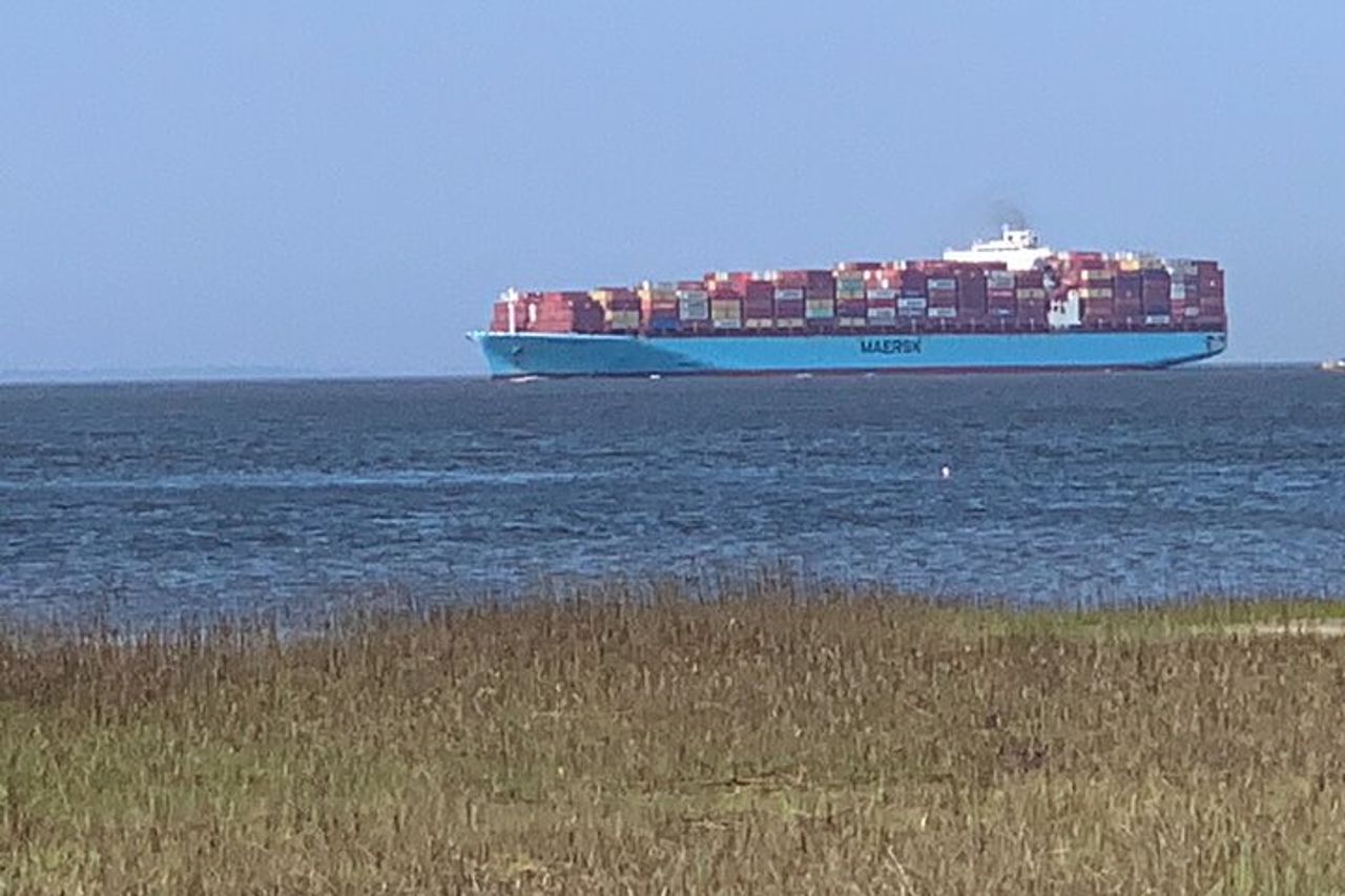 Tybee Island Day at the Beach Esperienza da Savannah — 5