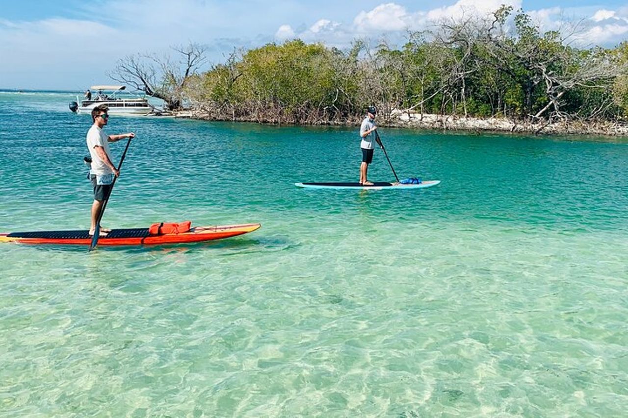 Tour avventuroso con delfini e lamantini a Fort Myers — 8