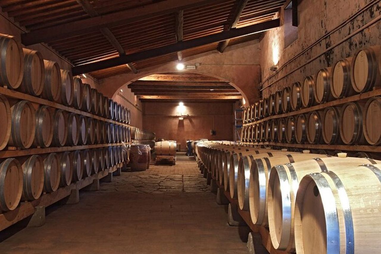 Chianti Lovers Tour - 2 Cantine e SuperTuscan Small Group da Lucca — 8