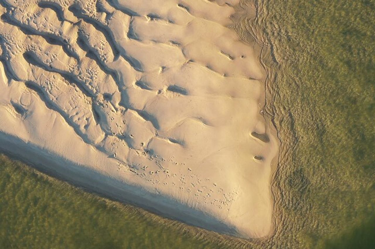 Ria Formosa e Ilhas: tour privato per due o in gruppo — 8