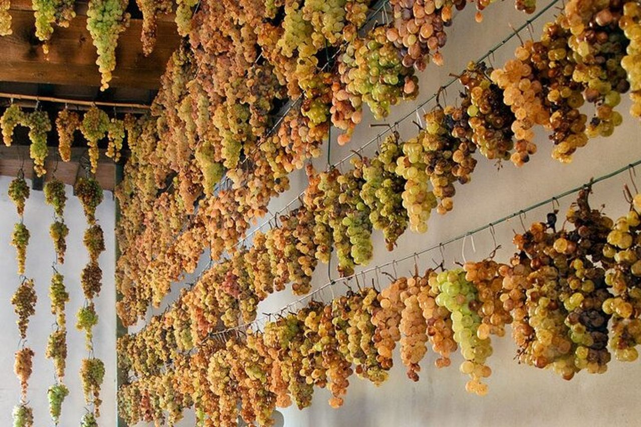 Wine Tour Cicloturistico Guidato in E-Bike all'Isola d'Elba "Arrighi" — 4
