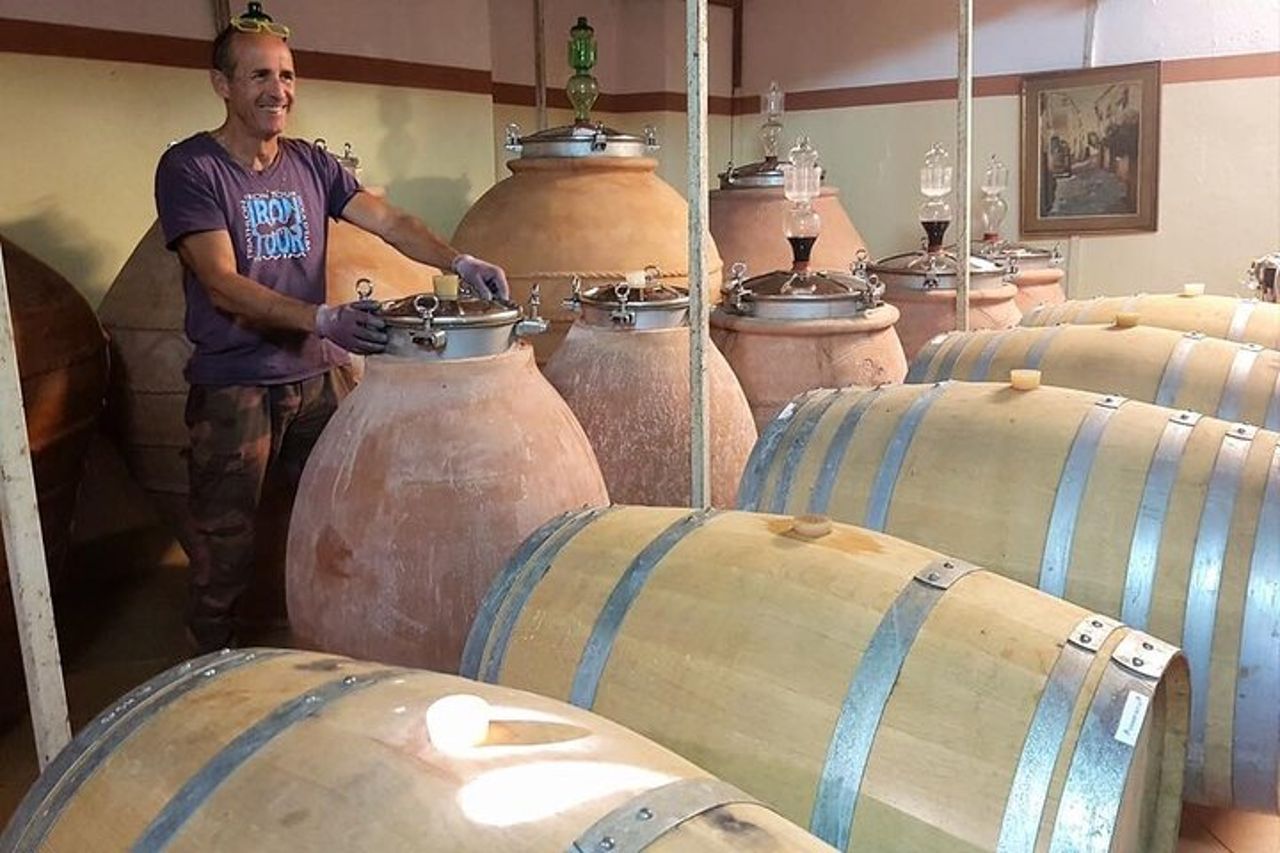 Wine Tour Cicloturistico Guidato in E-Bike all'Isola d'Elba "Arrighi" — 2