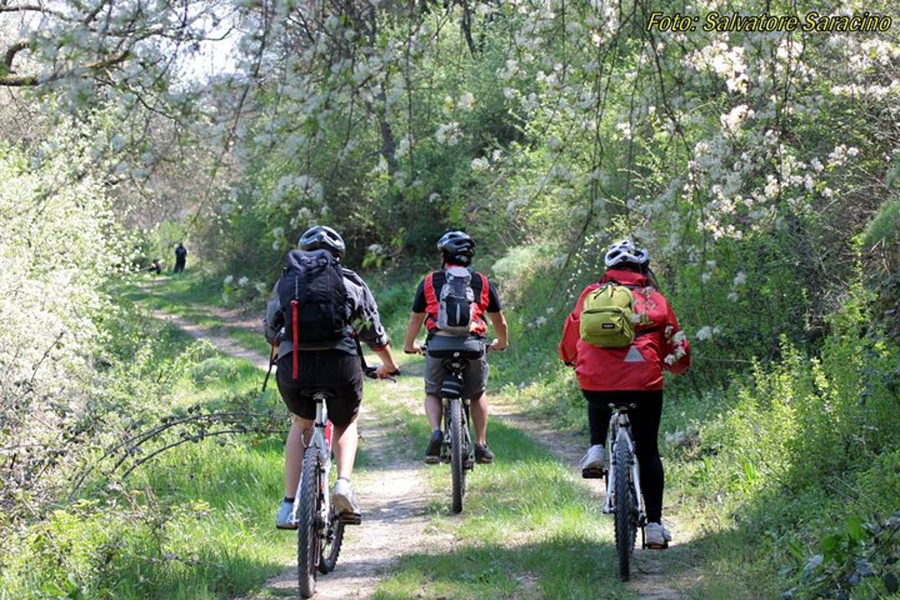 Bike Tour in Piccolo Gruppo nella Murgia di Castel del Monte — 4