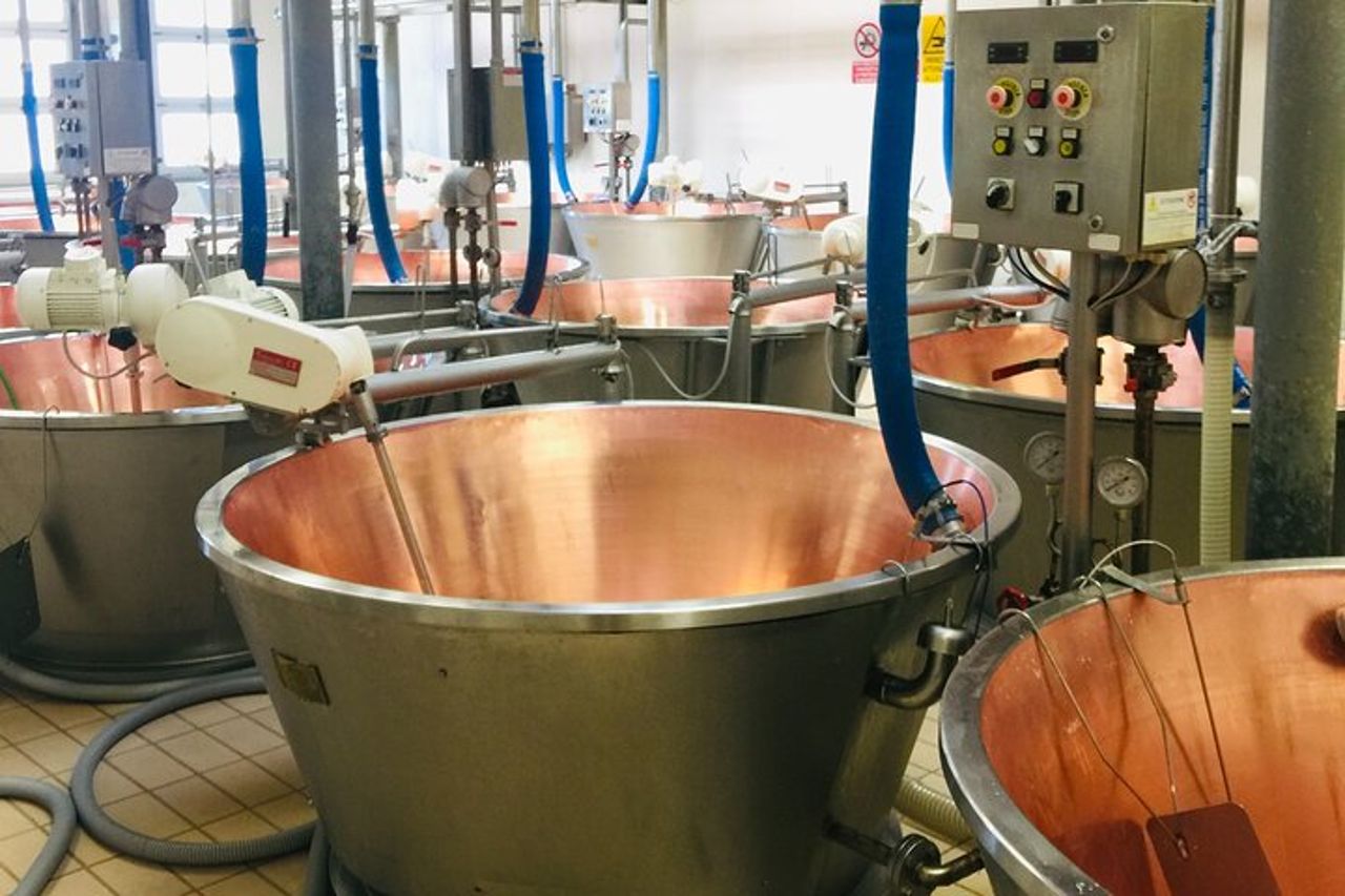Tour di un giorno da Padova: ville venete, cittadine medievali e produzione di Grana Padano — 5