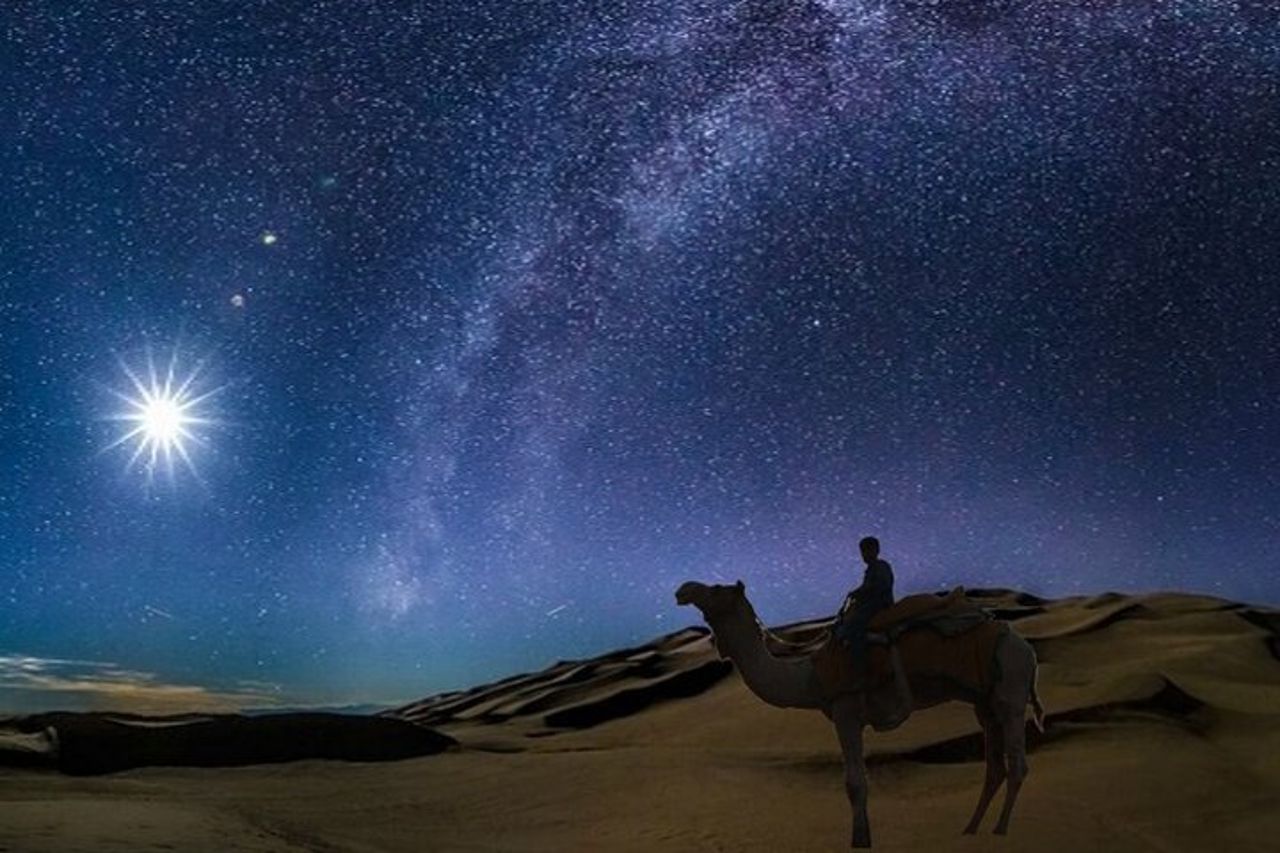 Doha Night Desert Safari Camel Ride Dune Bashing con trasferimento — 7