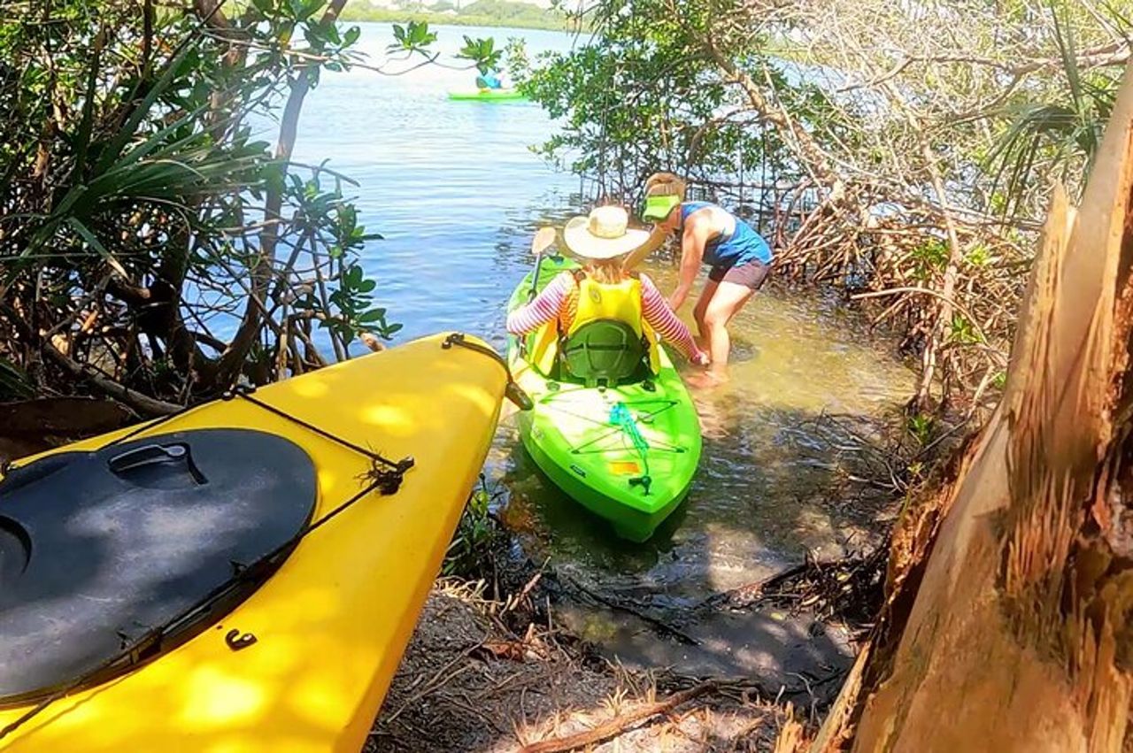 Kayak nei canali di Venezia, FL — 5