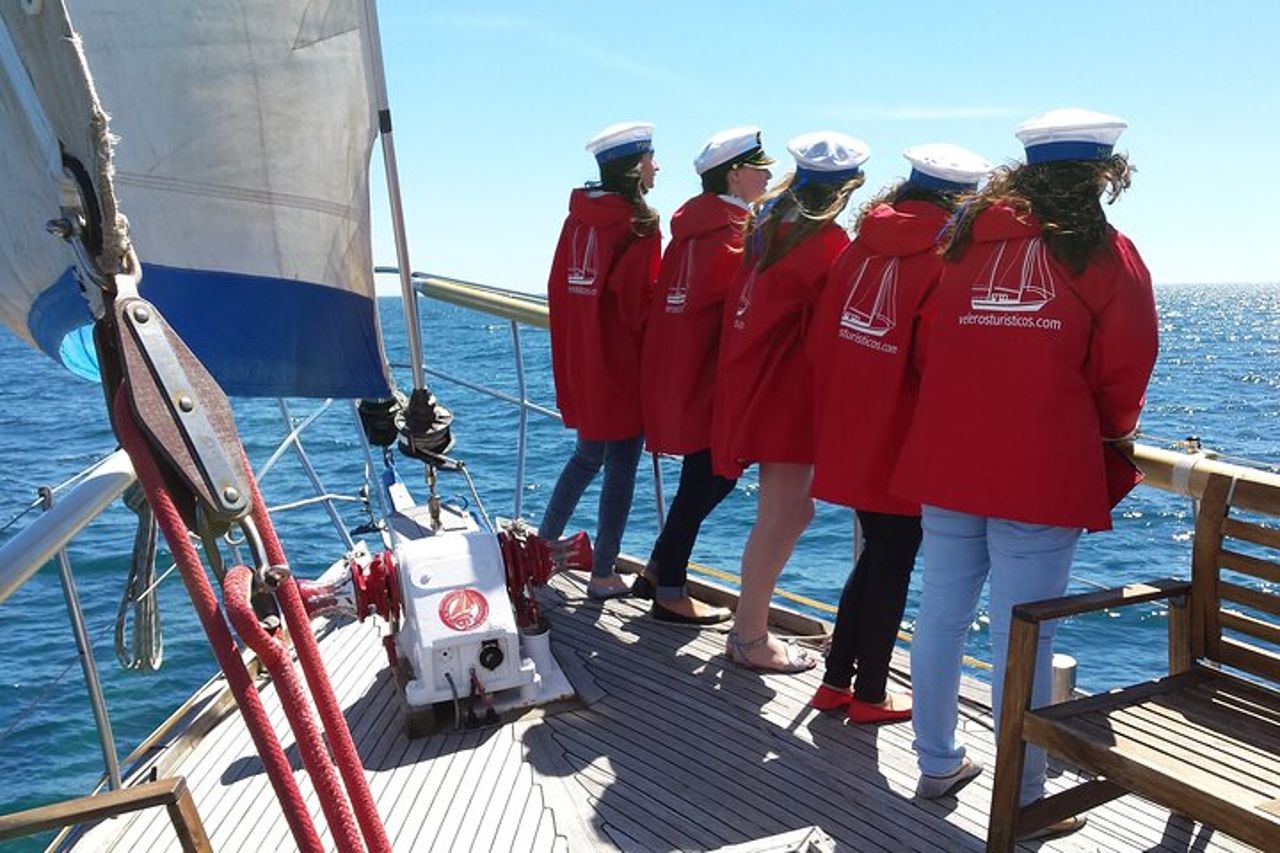 Avventura di osservazione dei delfini nella baia di Estepona — 4