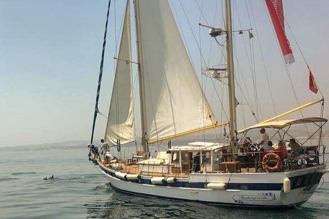 Avventura di osservazione dei delfini nella baia di Estepona — 5