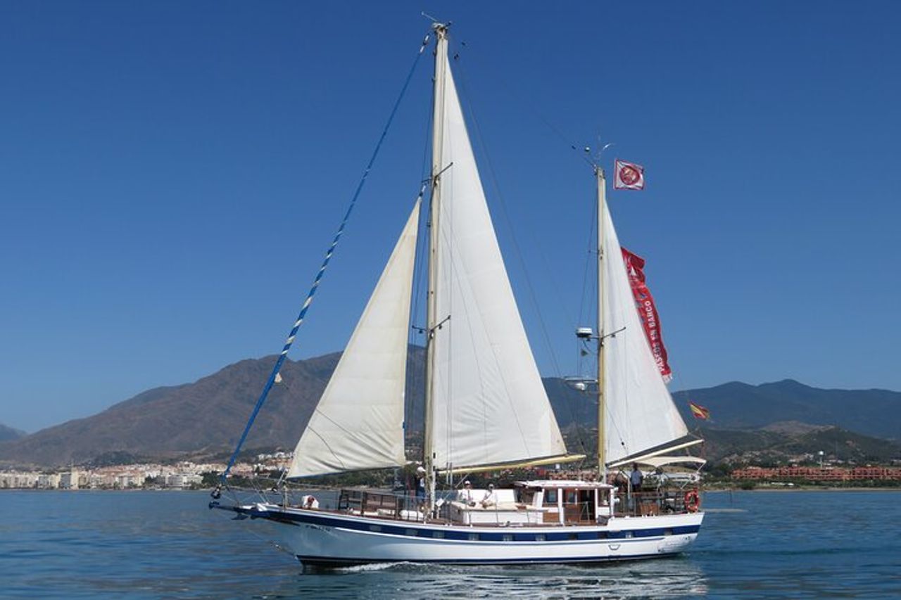 Avventura di osservazione dei delfini nella baia di Estepona — 6