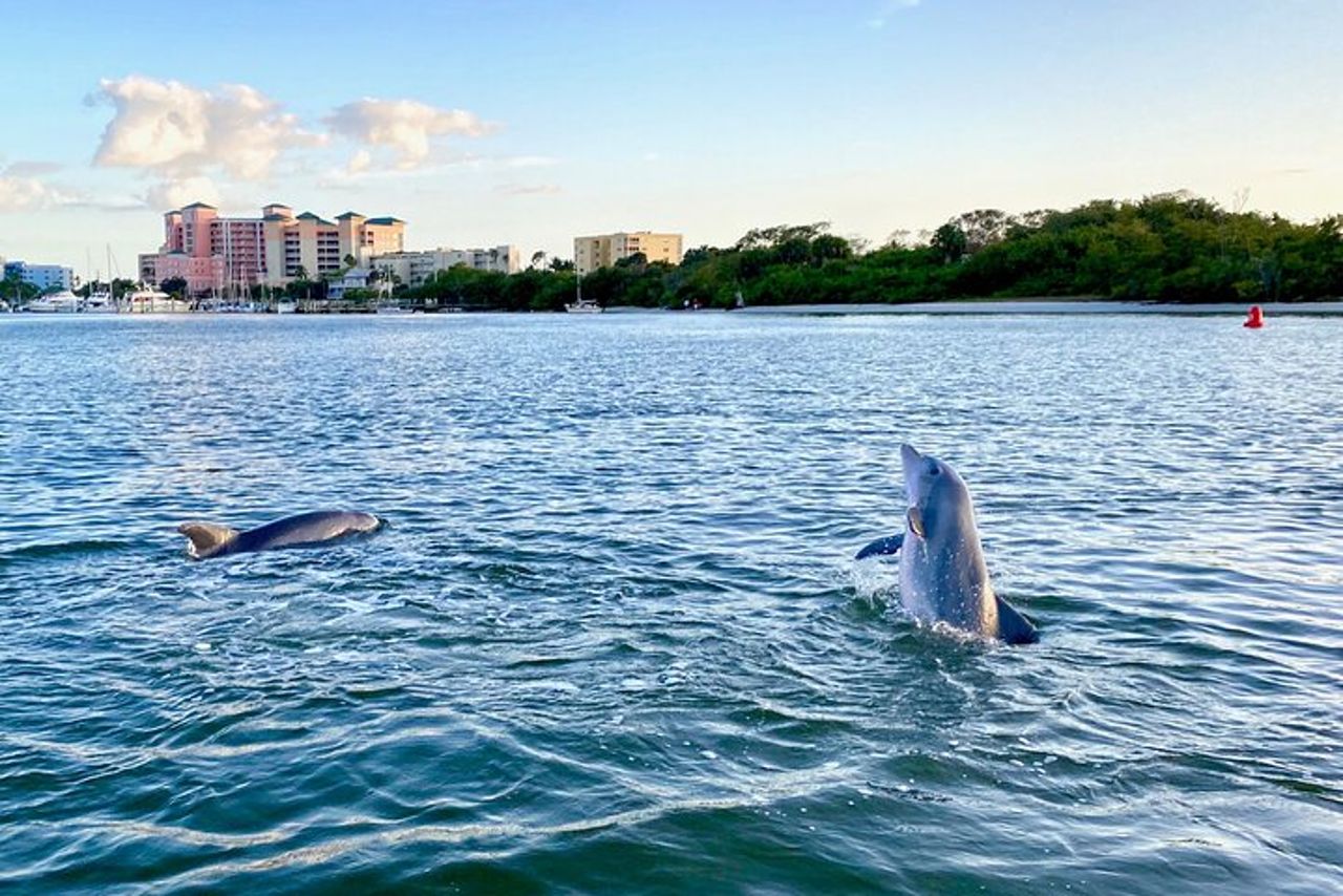 Crociera al tramonto e con i delfini intorno a Fort Myers Beach — 4
