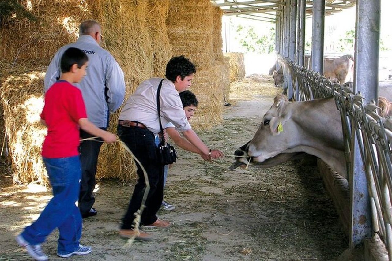 Tour guidato da Agrigento: Tradizioni siciliane con fattoria — 2