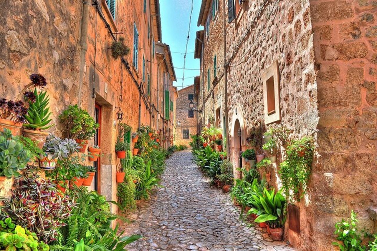 Escursione privata a Valldemossa e Palma de Mallorca