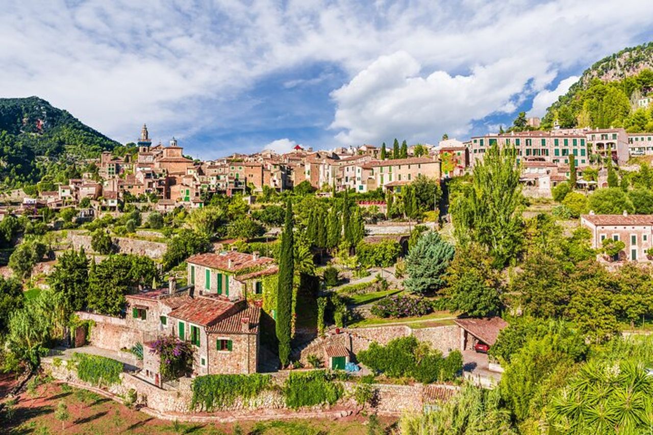 Escursione privata a Valldemossa e Palma de Mallorca — 4