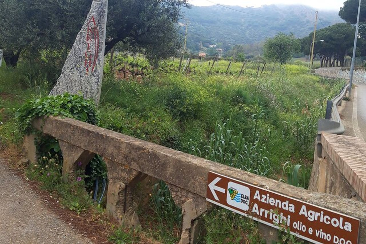 Wine Tour Cicloturistico Guidato in E-Bike all'Isola d'Elba "Arrighi" — 8