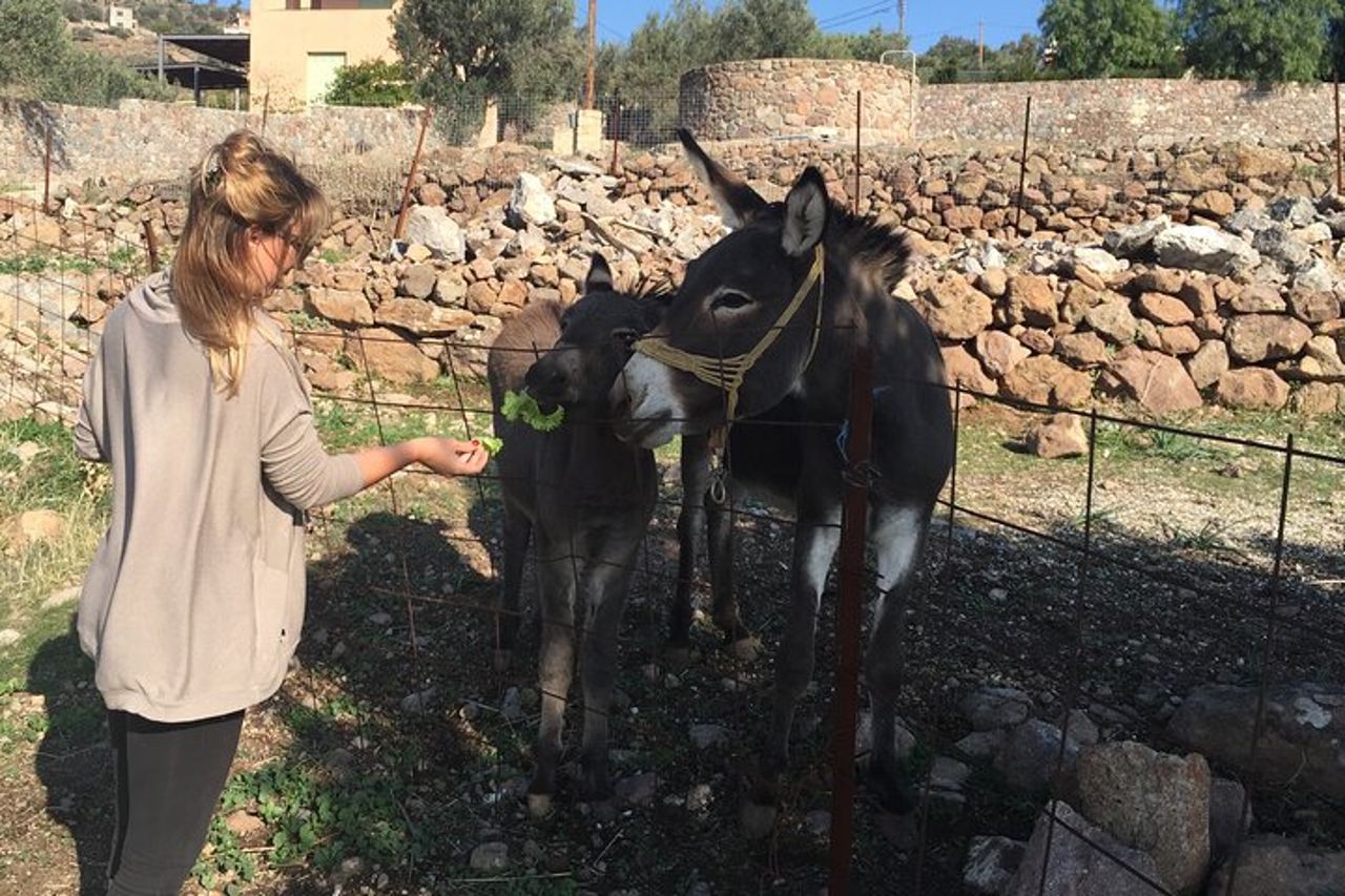 Tour gastronomico dei villaggi di Naxos — 6
