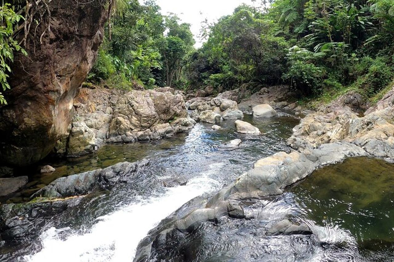 Tour del trio: El Yunque, Luquillo Beach e kayak notturno a Bio Bay — 9