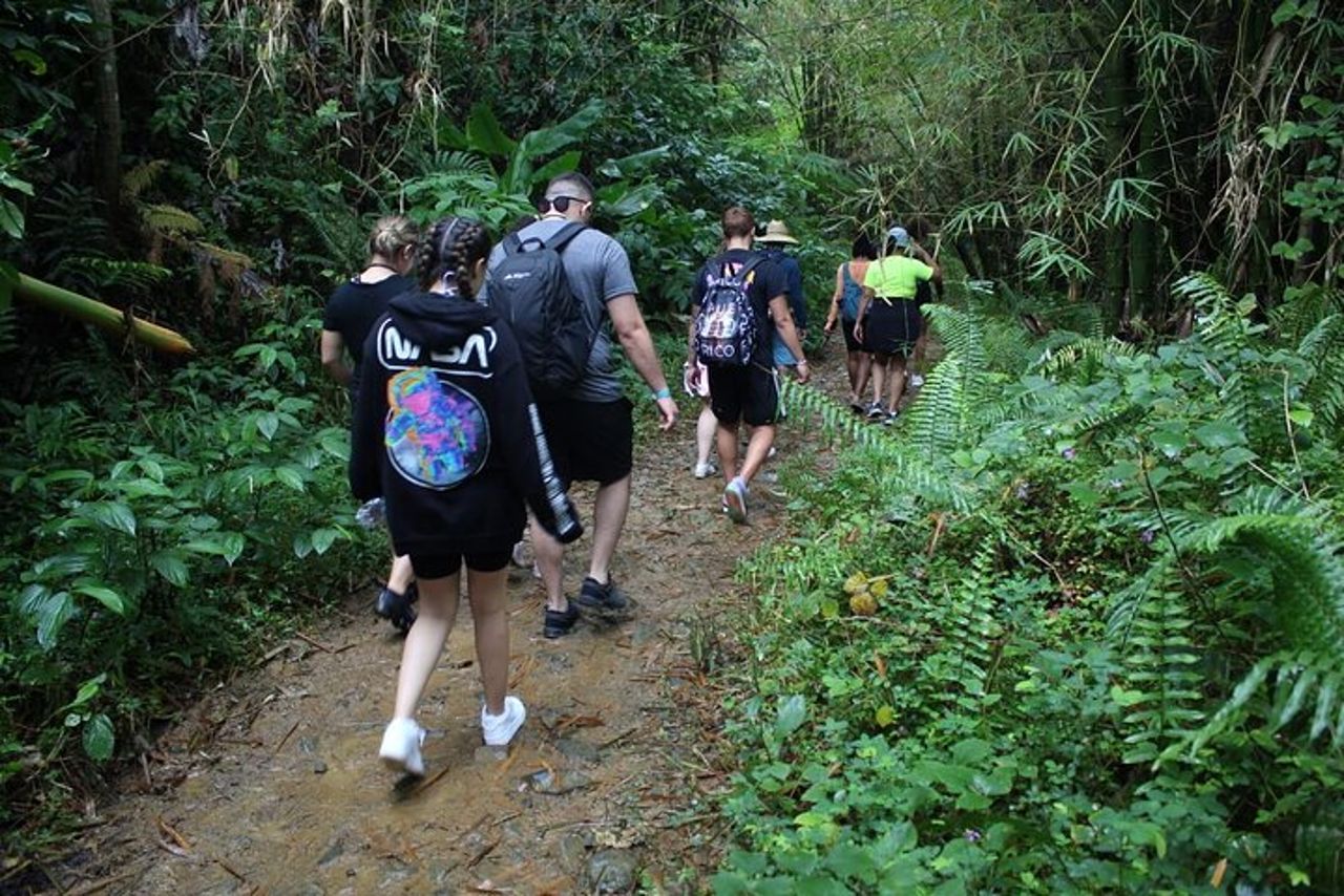 Tour del trio: El Yunque, Luquillo Beach e kayak notturno a Bio Bay — 5
