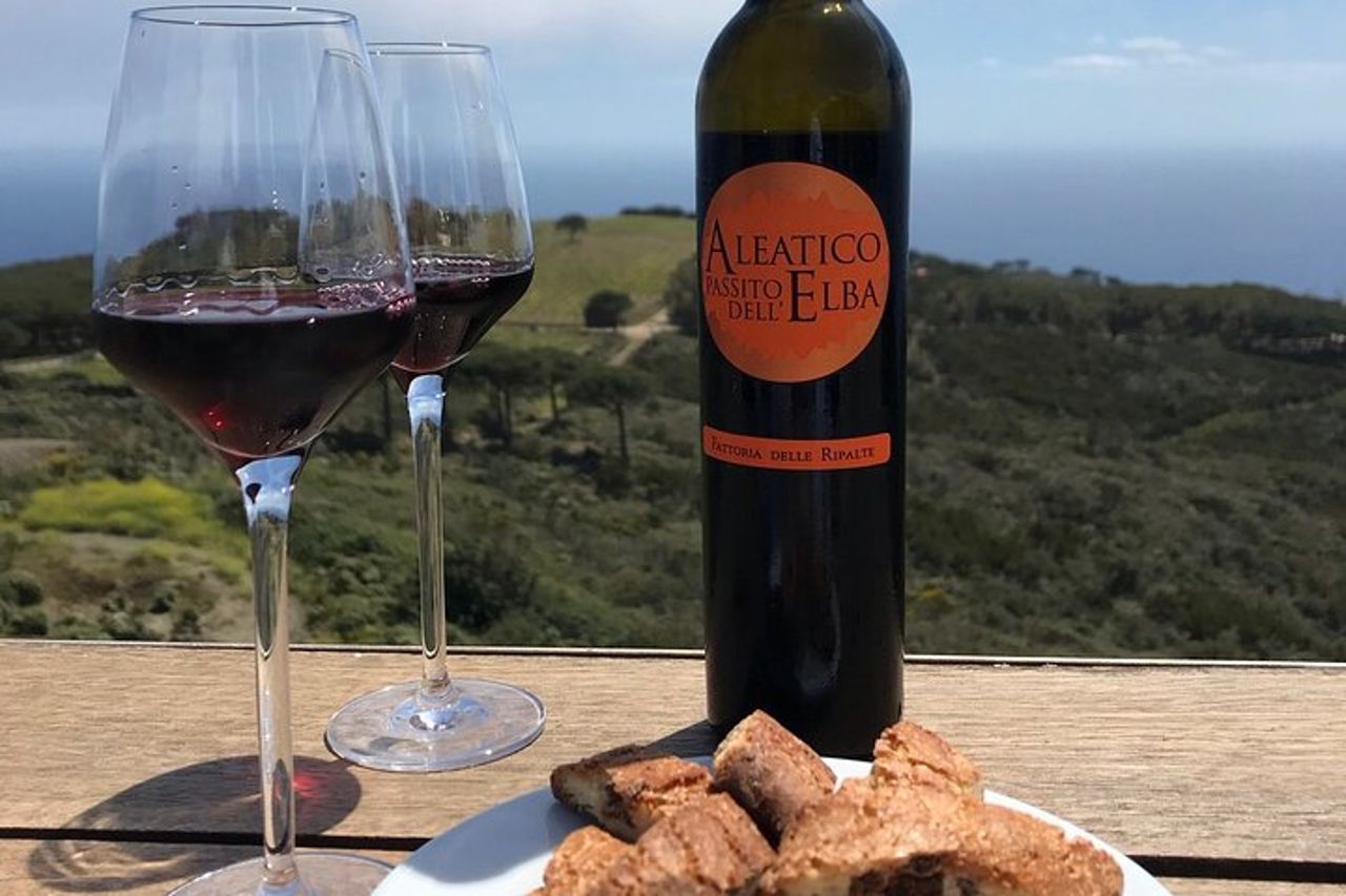 Degustazione Vini e visita Cantina d'Autore alle Ripalte — 9