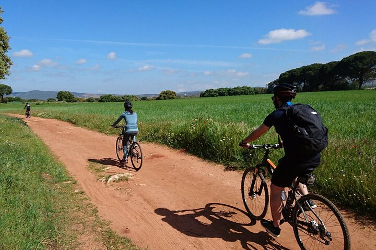 Tour in e-bike (autoguidato) e cantina - 20 km Facile — 3