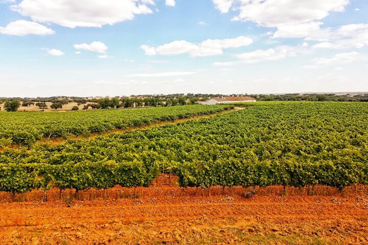 Tour di 2 ore a Cork in jeep — 7