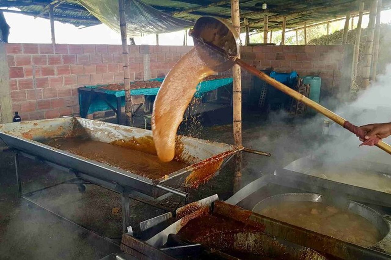 Dal Salento a Viterbo per un tour di un'intera giornata con caffè, cacao e panela — 6
