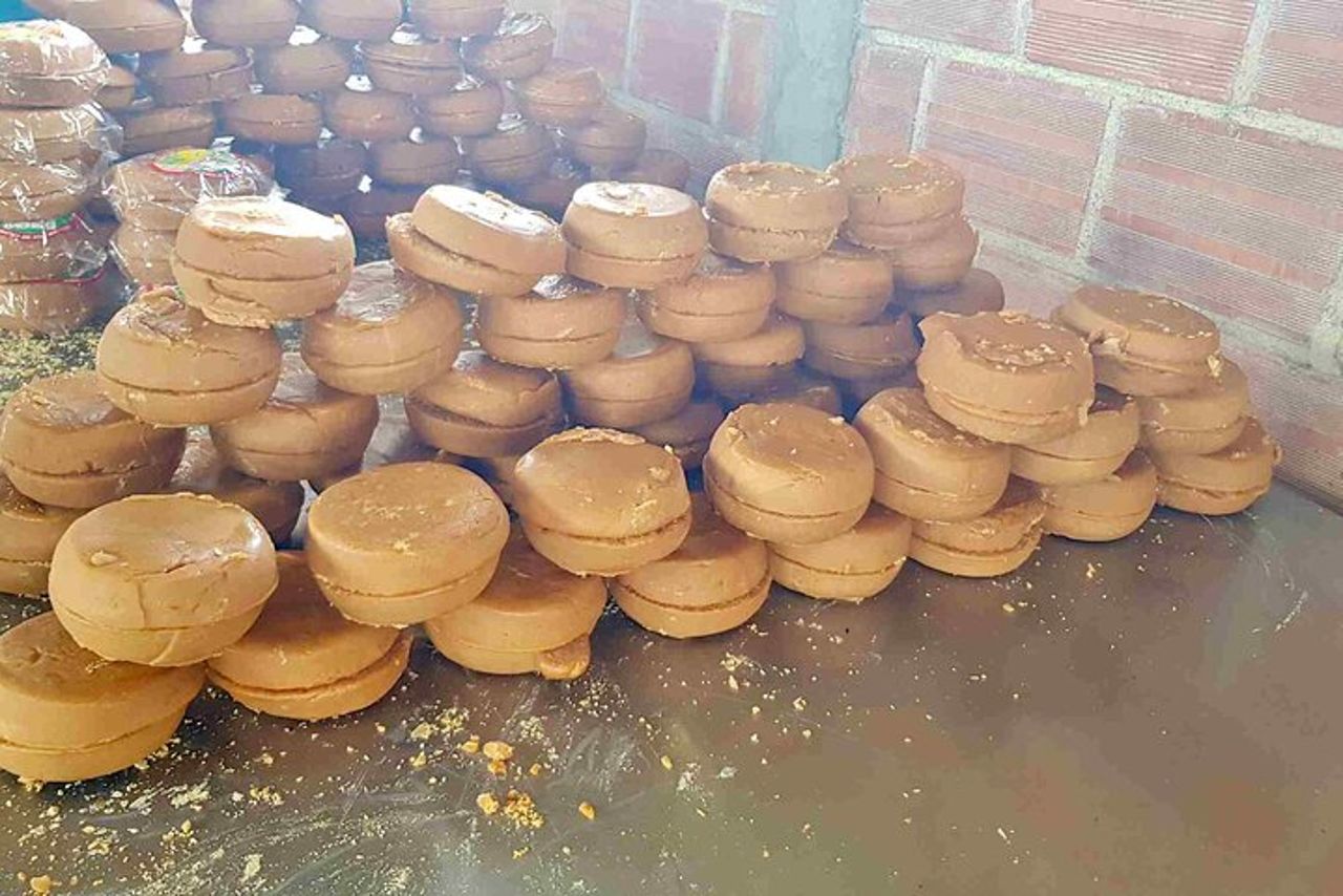 Dal Salento a Viterbo per un tour di un'intera giornata con caffè, cacao e panela — 7