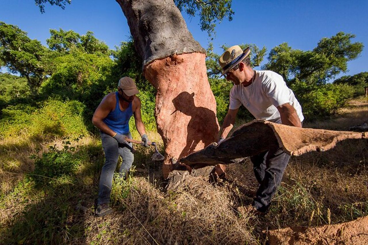 Tour di 2 ore a Cork in jeep — 5