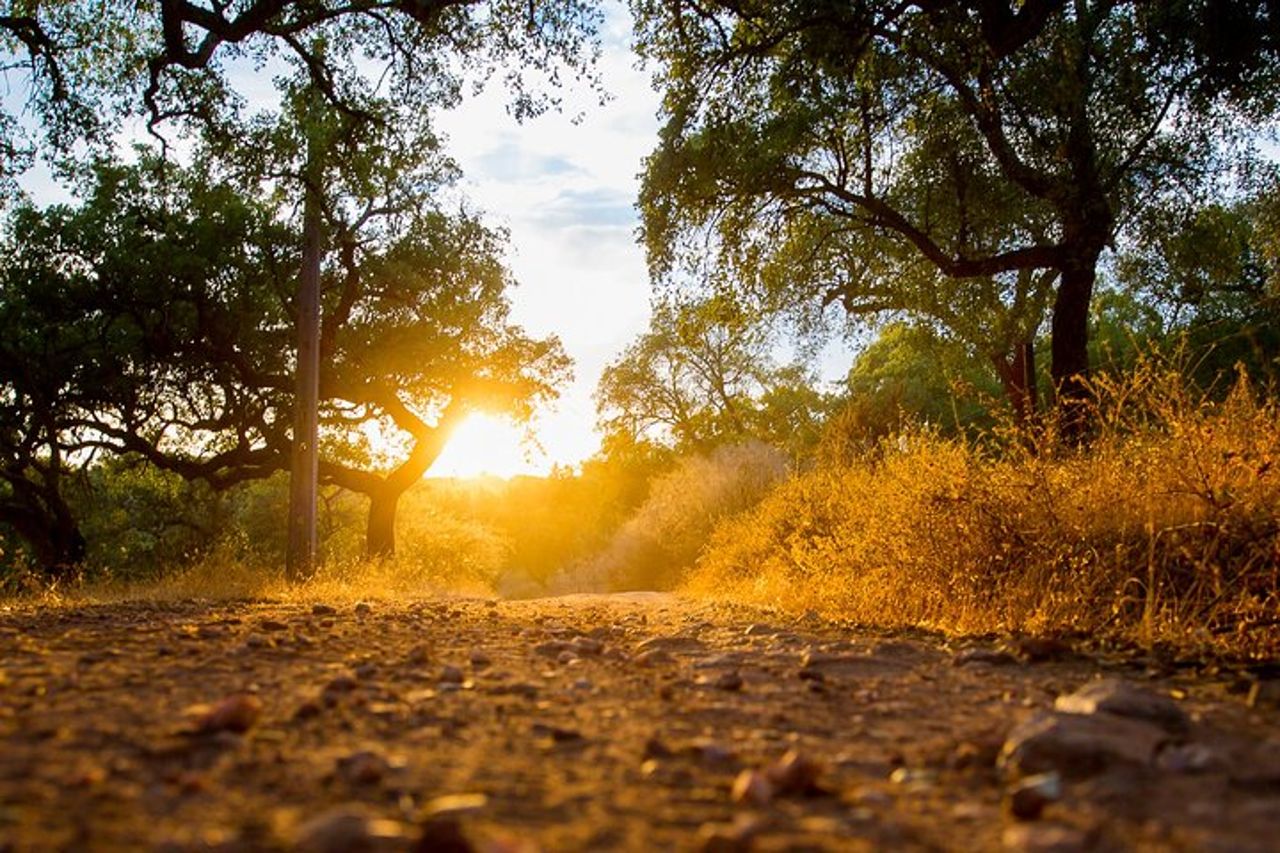 Tour di 2 ore a Cork in jeep — 2