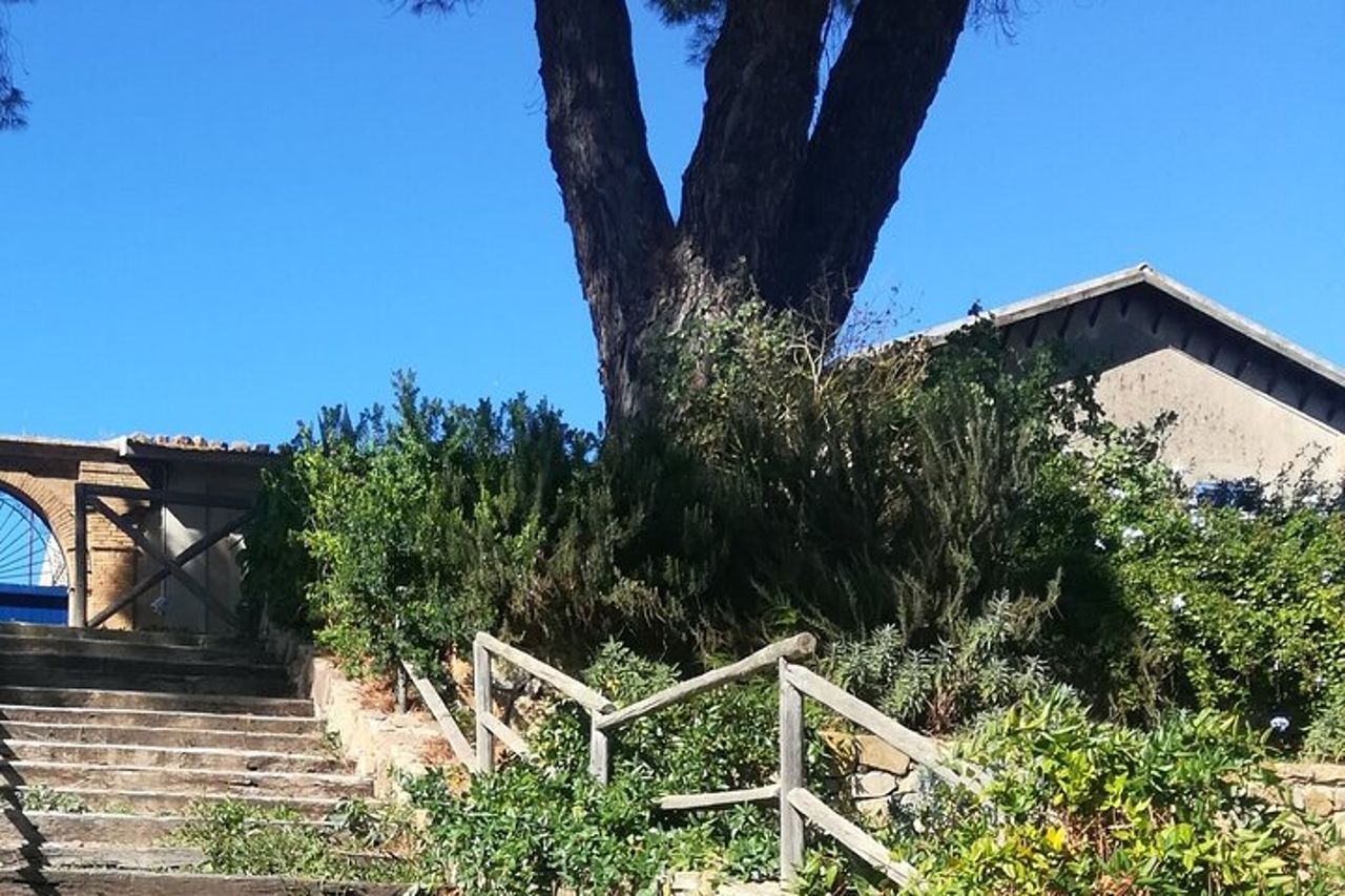 Cooking Class in una casa di campagna vicino a Cefalu' — 5