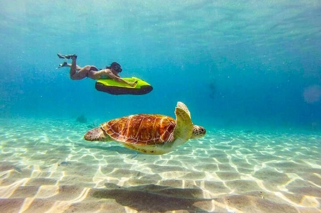 Seabob in Guadalupa — 6