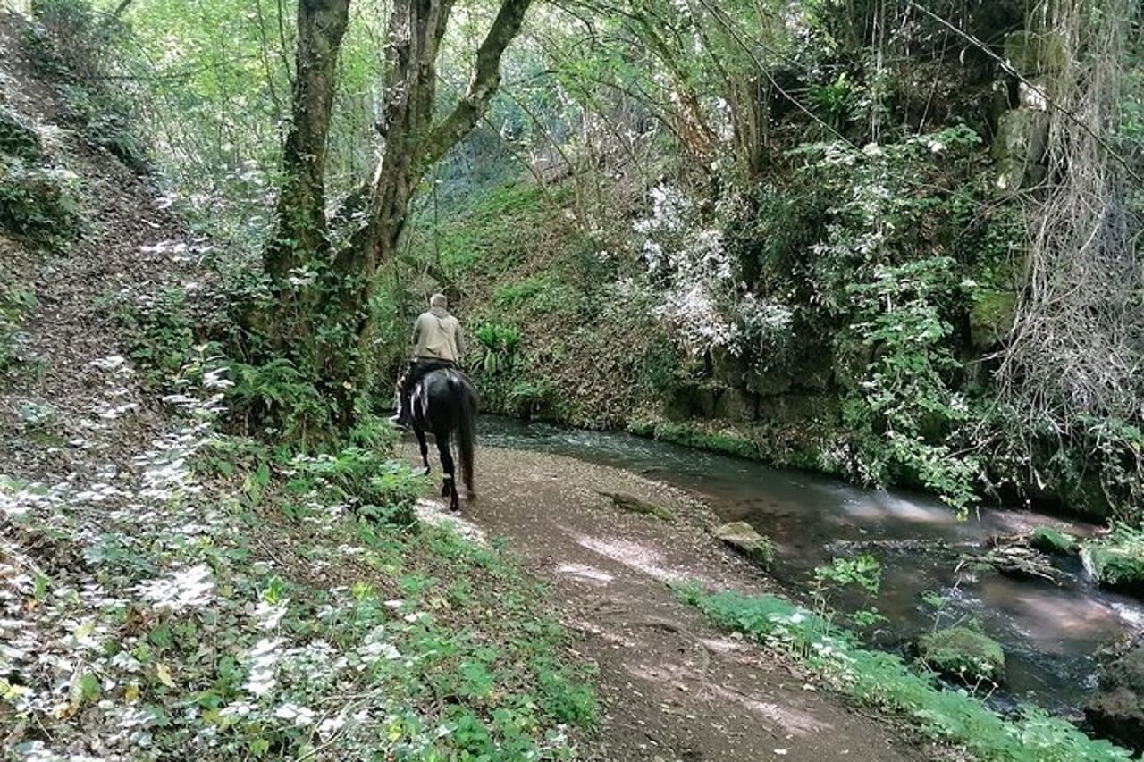 Dog friendly tour, archeological sites and nature around Rome, package price — 4