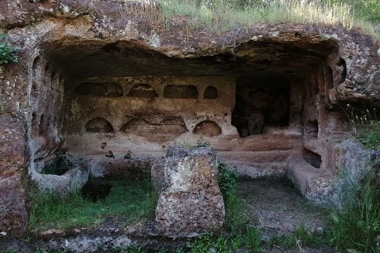 Dog friendly tour, archeological sites and nature around Rome, package price — 5