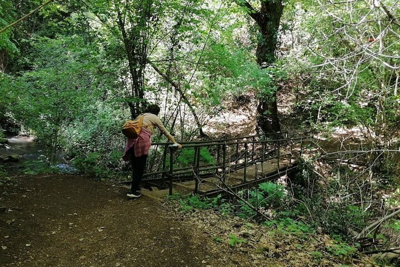 Dog friendly tour, archeological sites and nature around Rome, package price — 6