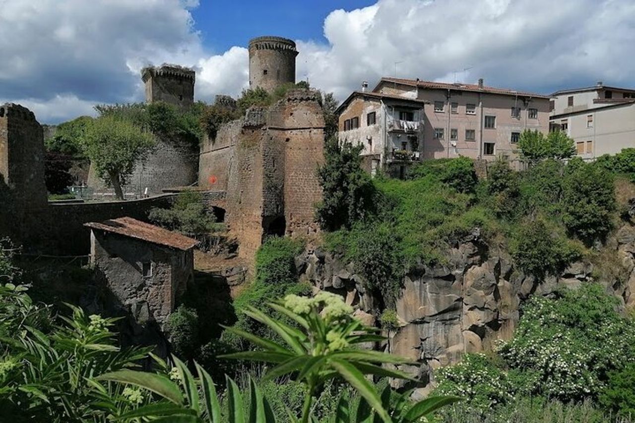 Dog friendly tour, archeological sites and nature around Rome, package price — 7